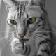 Illustration for article titled Shooting Challenge Pets Gallery 5